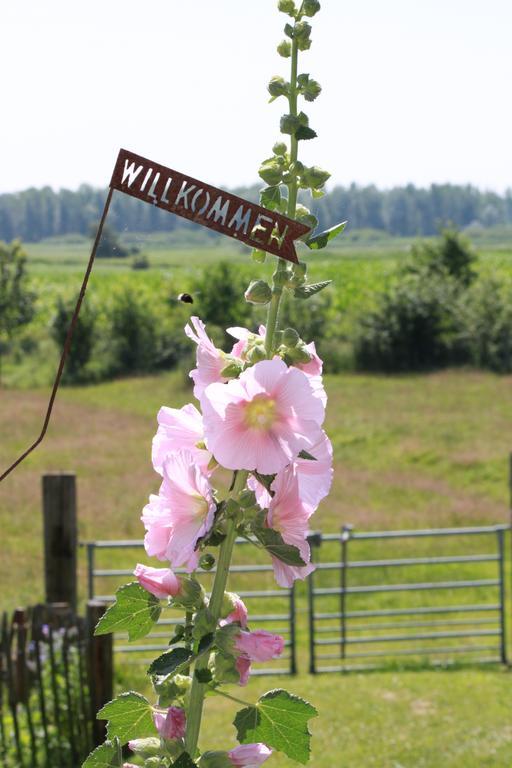Ferienwohnung Vogelsang Suderhoft Extérieur photo